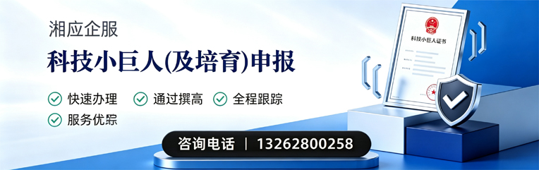 十堰科技小巨人及培育企业申报服务