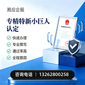 十堰专精特新小巨人申报服务