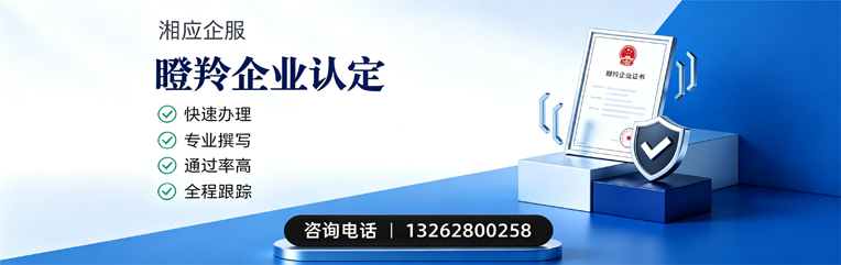 十堰瞪羚企业认定申报服务