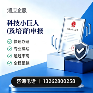 十堰科技小巨人及培育企业申报服务