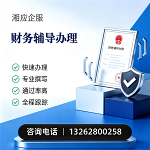 十堰财务辅导申请服务