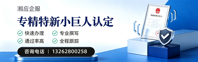 十堰专精特新小巨人申报服务